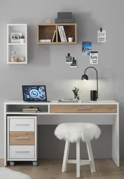 BOXXX Schreibtisch FILOU