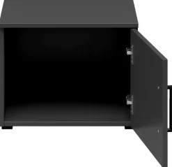 Carryhome Aufsatzschrank MULTISTAURAUM