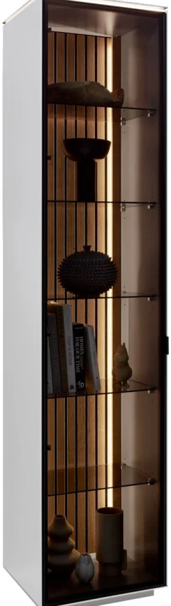 Dieter Knoll Vitrine RIANI