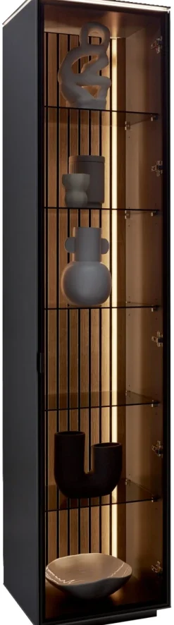 Dieter Knoll Vitrine RIANI