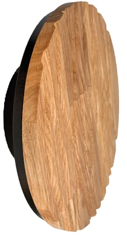 Elobra LED-Wandleuchte ATACAMA