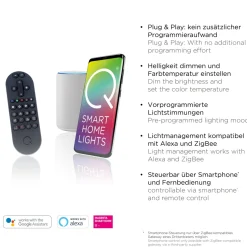 Paul Neuhaus Deckenleuchte Q-MAGONG
