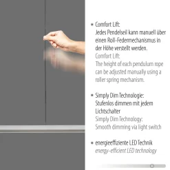 Paul Neuhaus LED-Pendelleuchte HOOP
