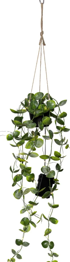 STAR TRADING Kunstpflanze Eukalyptus mit LED-Lichterkette LAOS