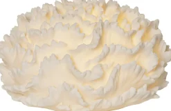 STAR TRADING LED-Dekoleuchte SANDY CORAL